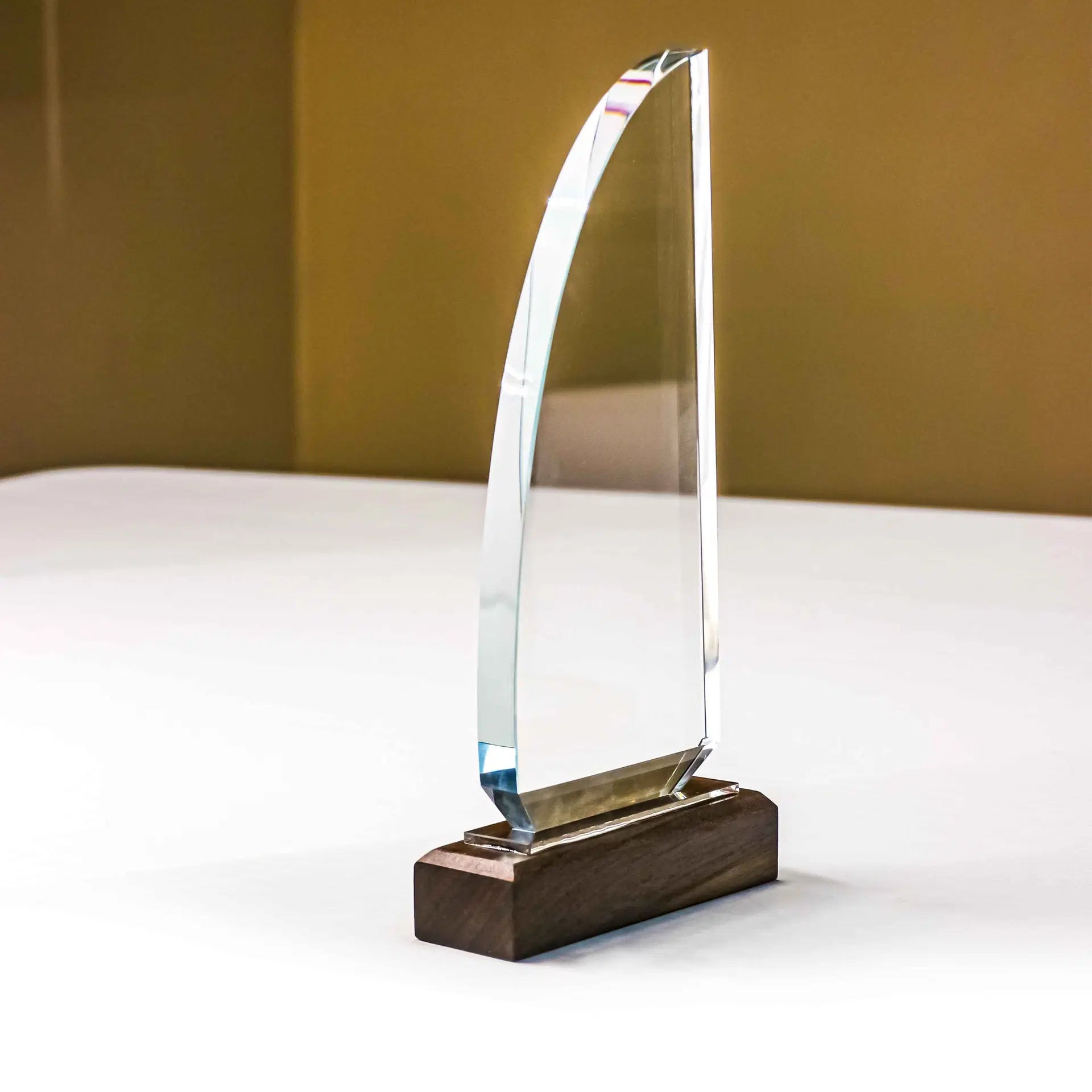 Award trophy - Sail Shape